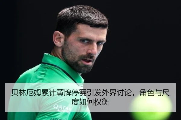 bei-lin-e-mu-lei-ji-huang-pai-ting-sai-yin-fa-wai-jie-tao-lun-jue-se-yu-chi-du-ru-he-quan-heng-2-786.jpg
